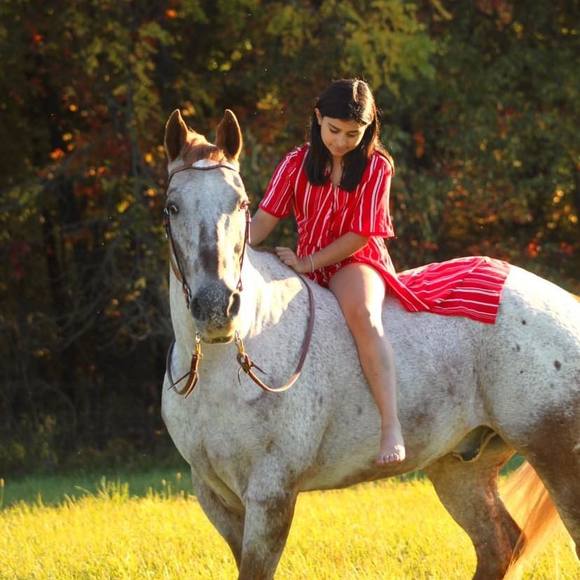 Meet your Posher, Bernardette - Picture 1 of 1